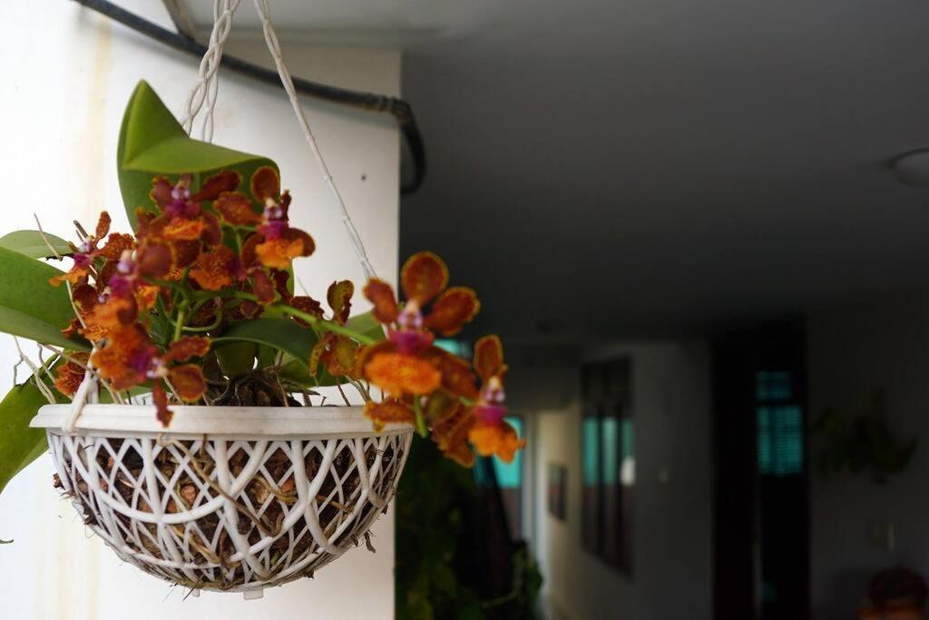 Sowparnika - A Family Home Experience Kochi Extérieur photo
